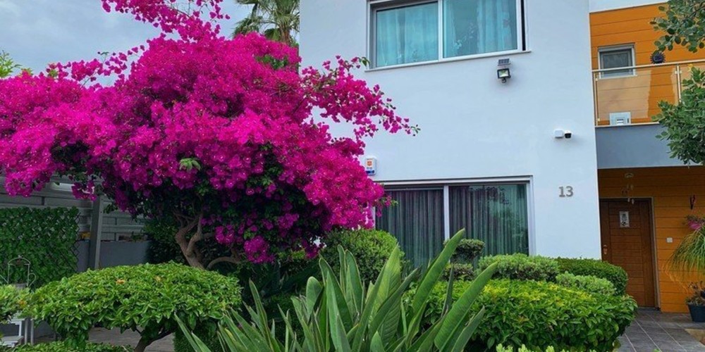 House in Germasoyia Tourist Area, Limassol
