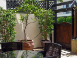 Condo in Pattaya, Thailand, 1 bedroom  № 6056 - photo 1