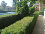 Condo in Pattaya, Thailand, 1 bedroom  № 6056 - photo 1