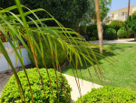 Condo in Pattaya, Thailand, 1 bedroom  № 6056 - photo 1