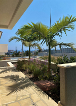 Condo in Pattaya, Thailand, 1 bedroom  № 6056 - photo 1