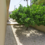 Condo in Pattaya, Thailand, 1 bedroom  № 6056 - photo 1