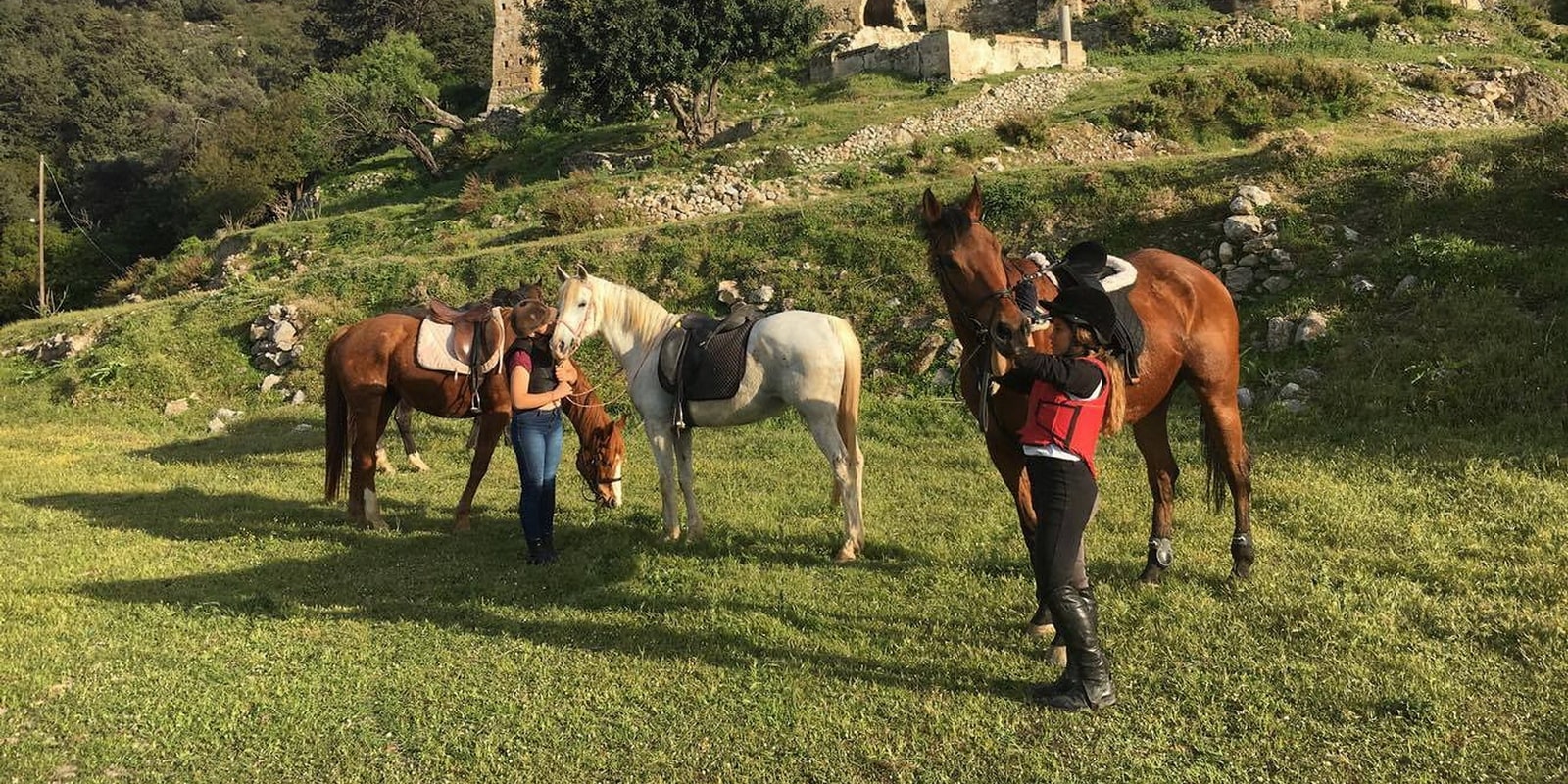 Horse Riding in Cyprus